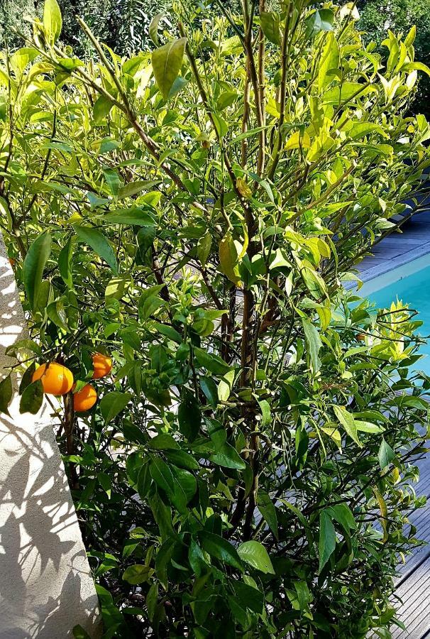 Le Mas De Marie Grimaud Exterior foto