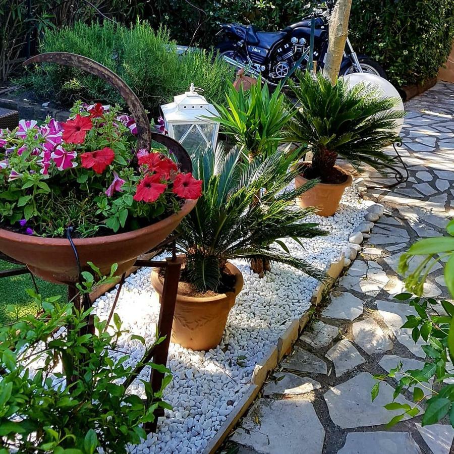 Le Mas De Marie Grimaud Exterior foto